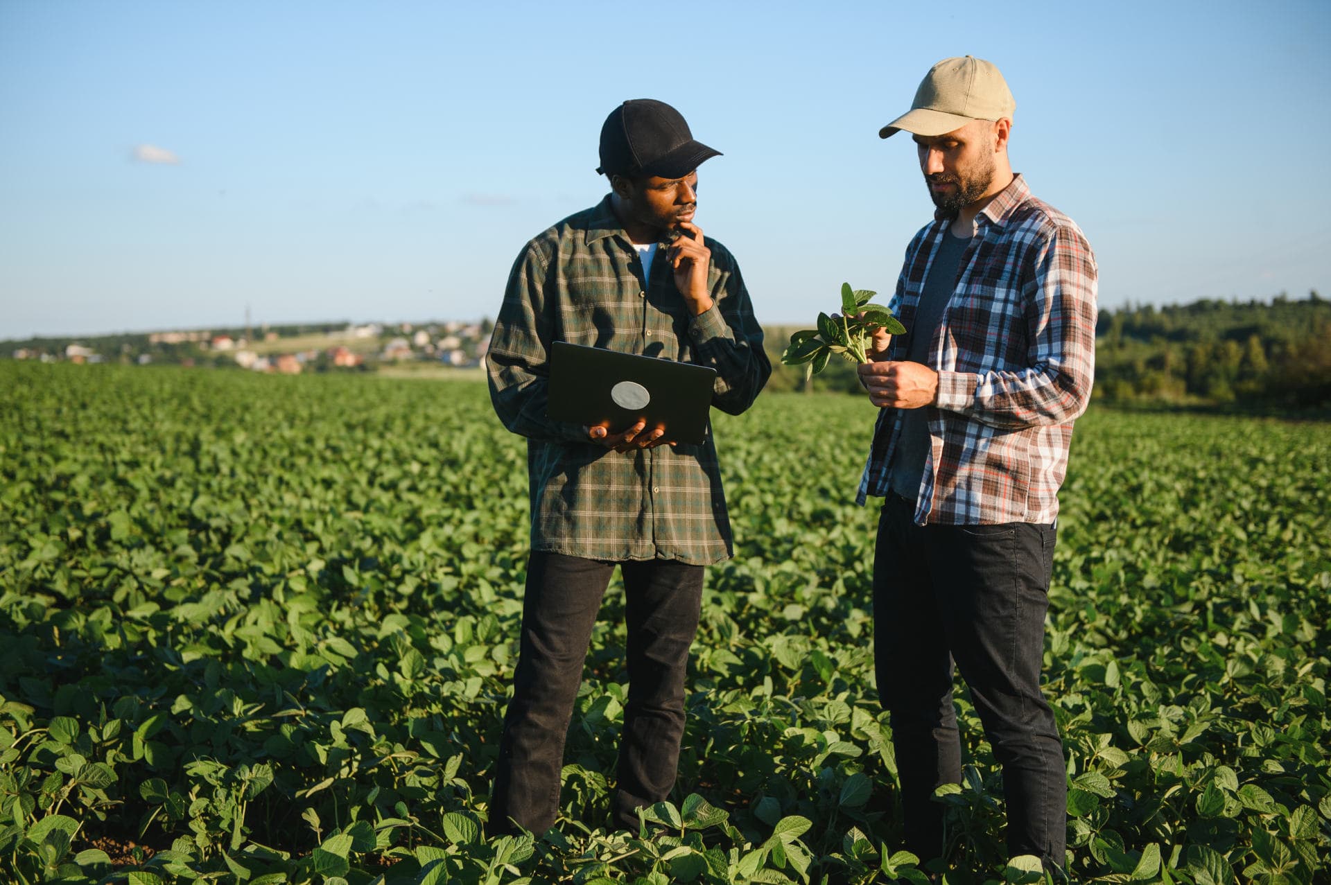 Agricultural field data collection